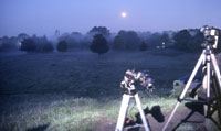 Weitwinkelaufnahme mit Nebel über Wiese